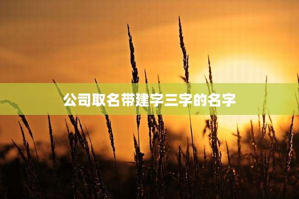 公司取名带建字三字的名字