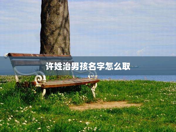 许姓治男孩名字怎么取