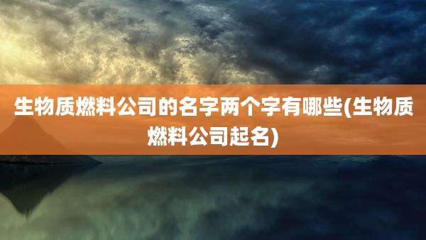 生物质燃料公司的名字两个字有哪些(生物质燃料公司起名)