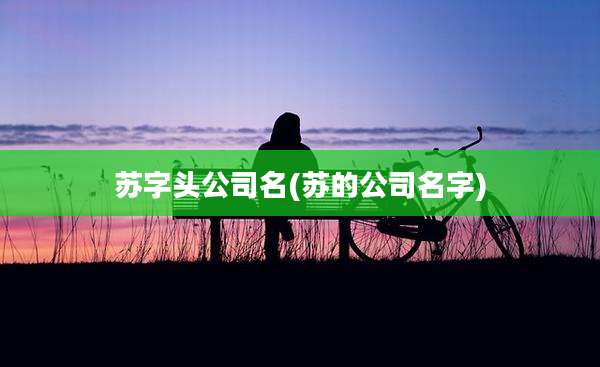 苏字头公司名(苏的公司名字)