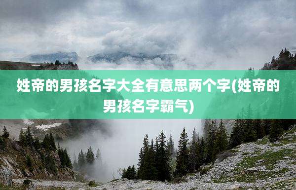 姓帝的男孩名字大全有意思两个字(姓帝的男孩名字霸气)
