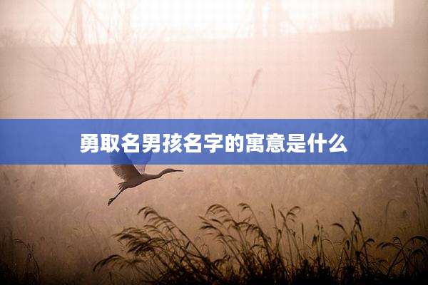 勇取名男孩名字的寓意是什么