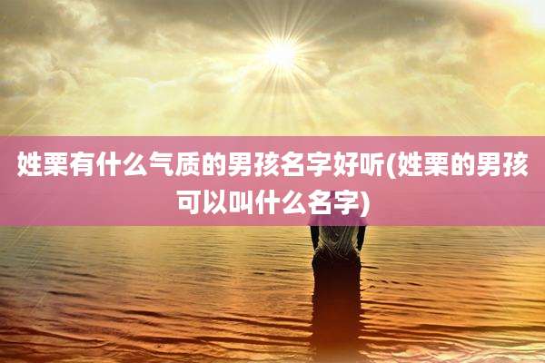 姓栗有什么气质的男孩名字好听(姓栗的男孩可以叫什么名字)