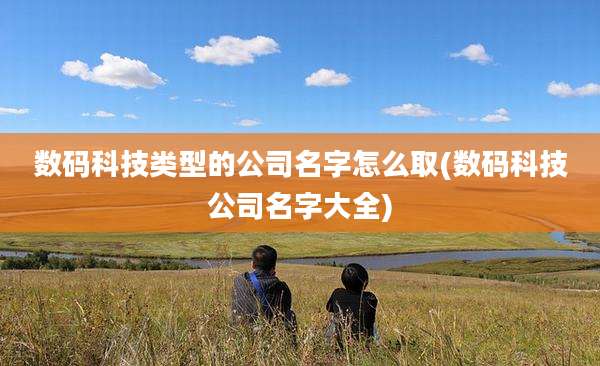 数码科技类型的公司名字怎么取(数码科技公司名字大全)