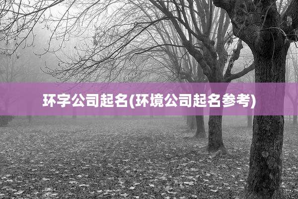 环字公司起名(环境公司起名参考)