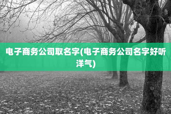 电子商务公司取名字(电子商务公司名字好听洋气)