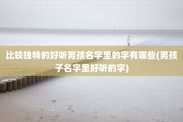 比较独特的好听男孩名字里的字有哪些(男孩子名字里好听的字)
