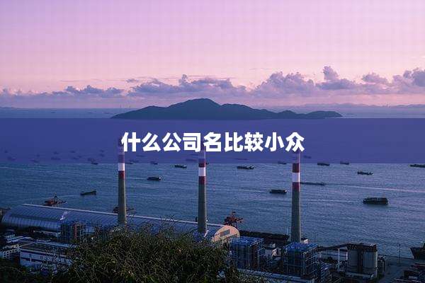 什么公司名比较小众