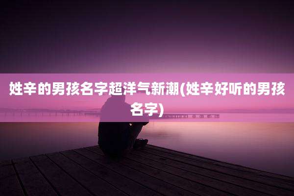 姓辛的男孩名字超洋气新潮(姓辛好听的男孩名字)