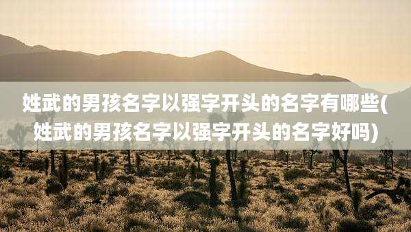 姓武的男孩名字以强字开头的名字有哪些(姓武的男孩名字以强字开头的名字好吗)