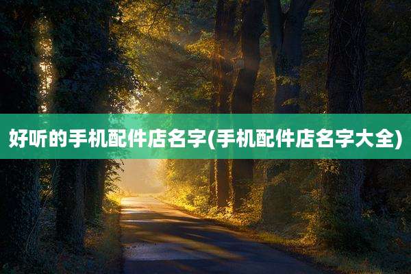 好听的手机配件店名字(手机配件店名字大全)