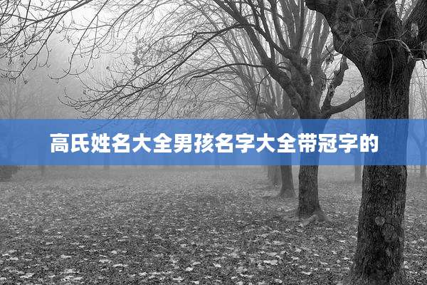 高氏姓名大全男孩名字大全带冠字的