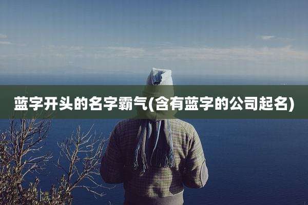 蓝字开头的名字霸气(含有蓝字的公司起名)