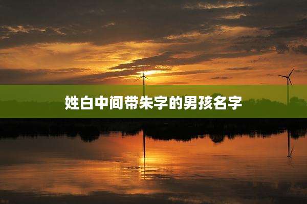 姓白中间带朱字的男孩名字