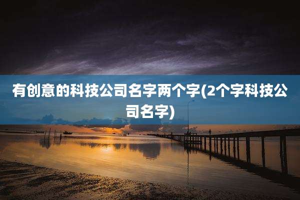 有创意的科技公司名字两个字(2个字科技公司名字)