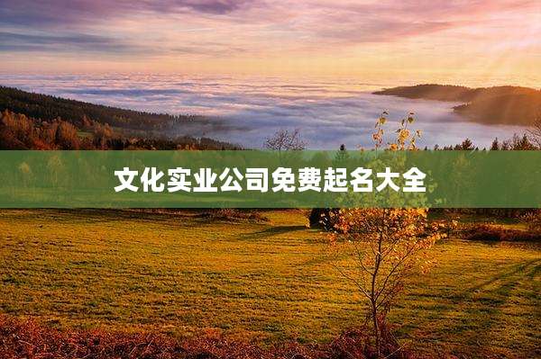 文化实业公司免费起名大全