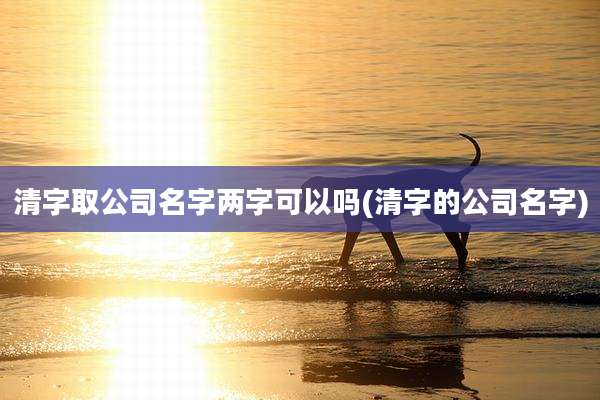 清字取公司名字两字可以吗(清字的公司名字)