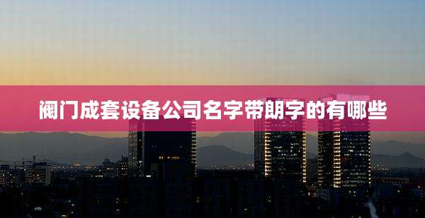 阀门成套设备公司名字带朗字的有哪些
