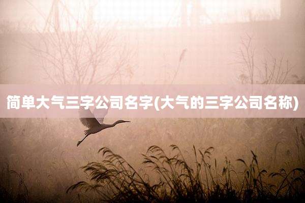 简单大气三字公司名字(大气的三字公司名称)
