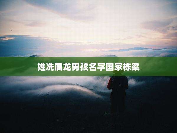 姓冼属龙男孩名字国家栋梁