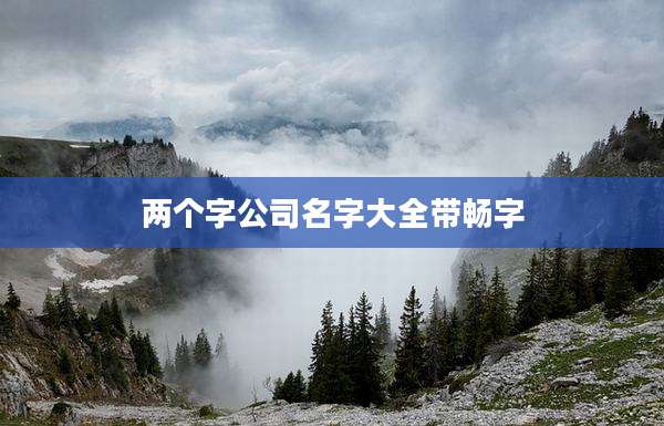 两个字公司名字大全带畅字