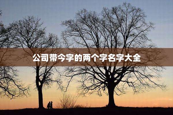 公司带今字的两个字名字大全