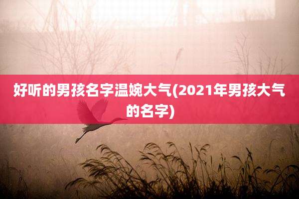 好听的男孩名字温婉大气(2021年男孩大气的名字)