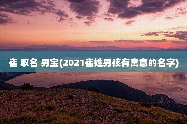 崔 取名 男宝(2021崔姓男孩有寓意的名字)