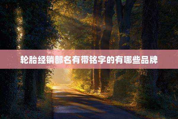 轮胎经销部名有带铭字的有哪些品牌