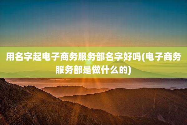 用名字起电子商务服务部名字好吗(电子商务服务部是做什么的)