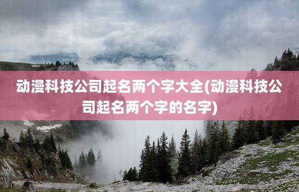 动漫科技公司起名两个字大全(动漫科技公司起名两个字的名字)