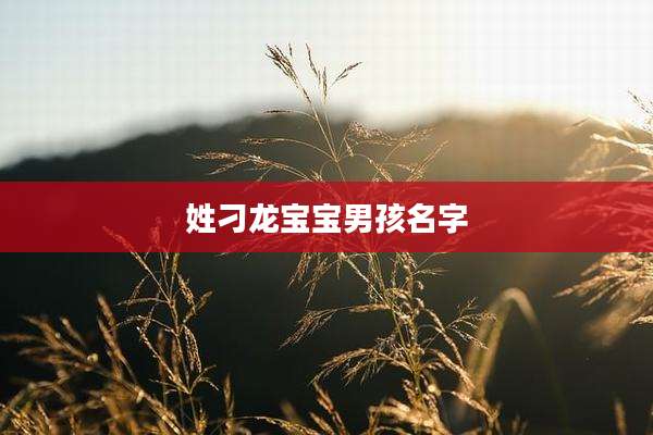 姓刁龙宝宝男孩名字