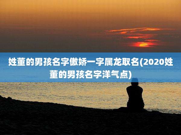 姓董的男孩名字傲娇一字属龙取名(2020姓董的男孩名字洋气点)