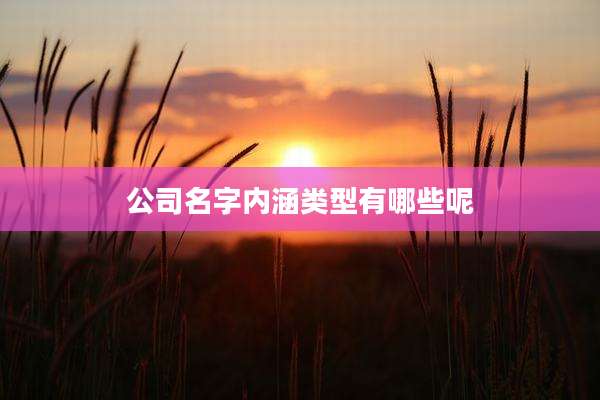 公司名字内涵类型有哪些呢