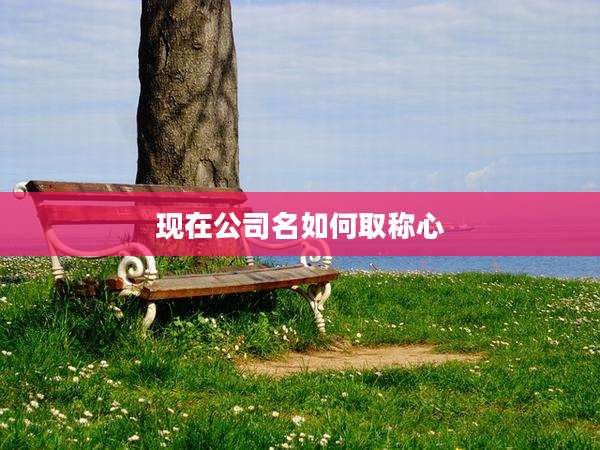 现在公司名如何取称心