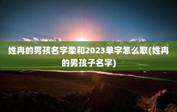 姓冉的男孩名字柔和2023单字怎么取(姓冉的男孩子名字)