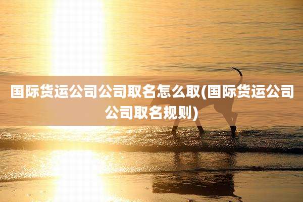 国际货运公司公司取名怎么取(国际货运公司公司取名规则)