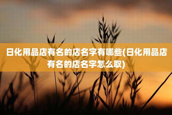 日化用品店有名的店名字有哪些(日化用品店有名的店名字怎么取)