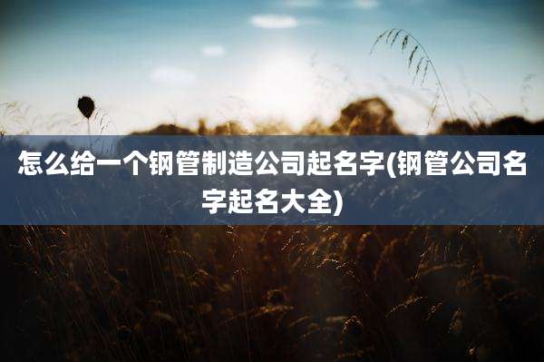 怎么给一个钢管制造公司起名字(钢管公司名字起名大全)
