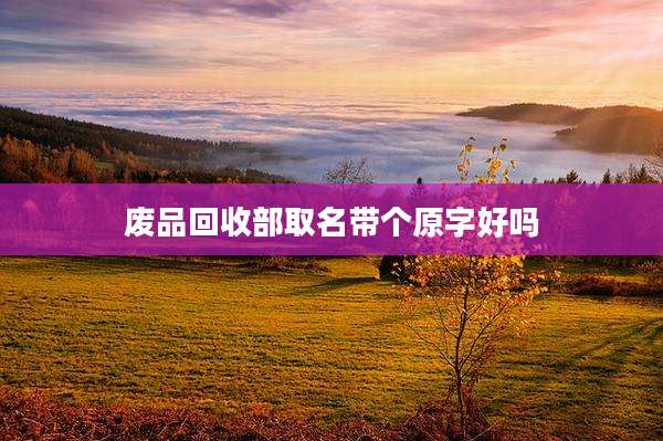 废品回收部取名带个原字好吗