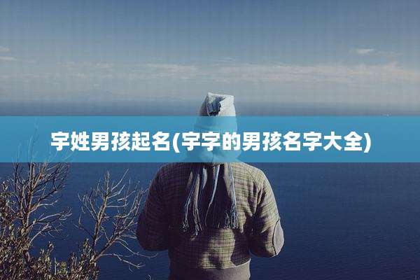 宇姓男孩起名(宇字的男孩名字大全)