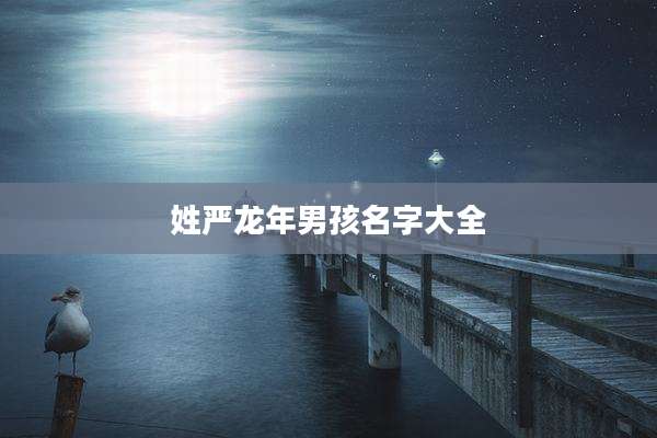 姓严龙年男孩名字大全
