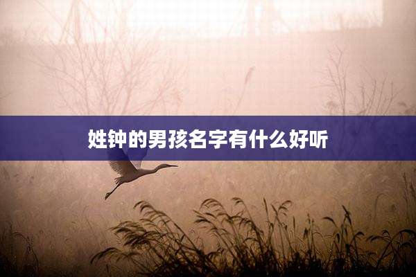 姓钟的男孩名字有什么好听