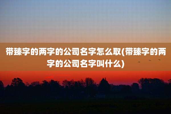 带臻字的两字的公司名字怎么取(带臻字的两字的公司名字叫什么)