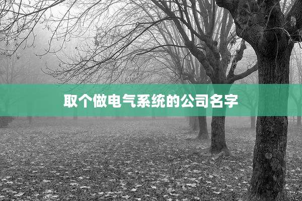 取个做电气系统的公司名字
