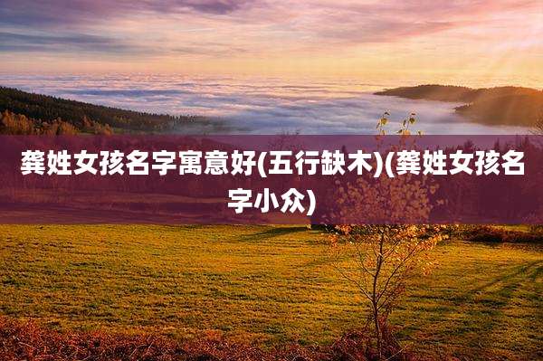 龚姓女孩名字寓意好(五行缺木)(龚姓女孩名字小众)