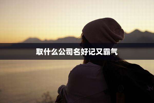 取什么公司名好记又霸气