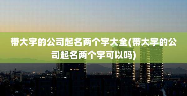 带大字的公司起名两个字大全(带大字的公司起名两个字可以吗)