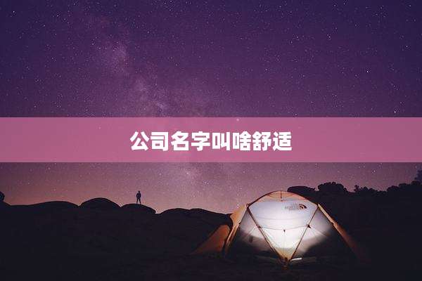 公司名字叫啥舒适