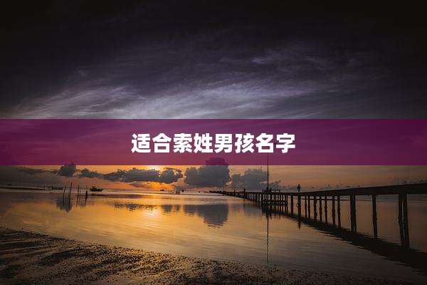 适合索姓男孩名字